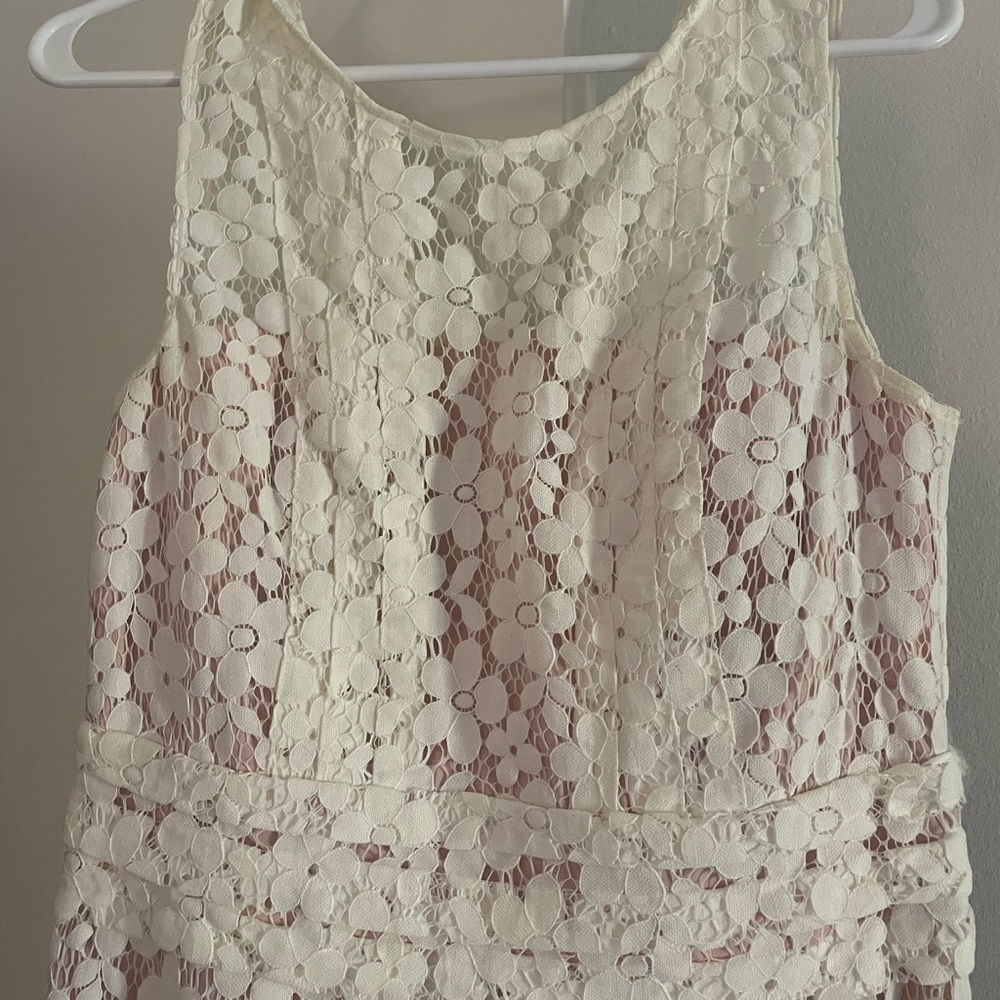 Spring lace, blush lined dress
